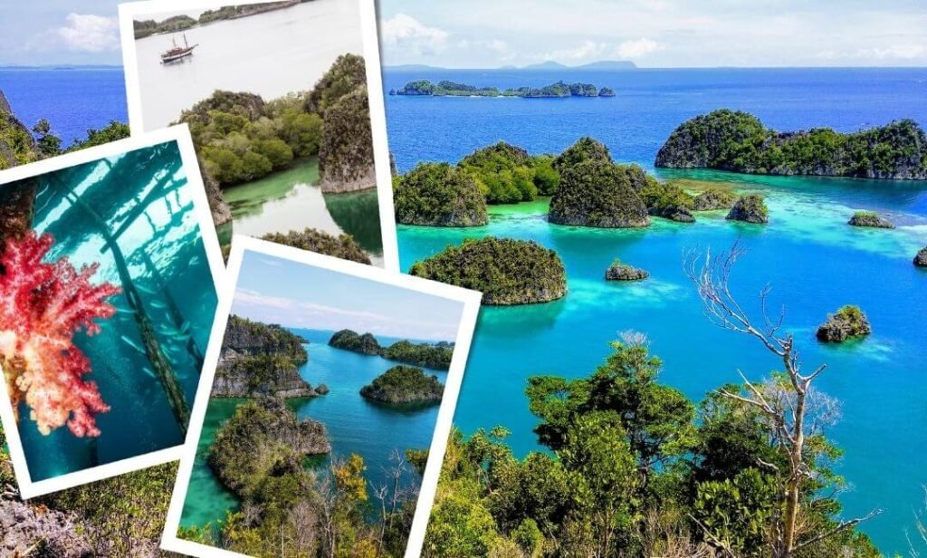 Paket Raja Ampat 4D3N